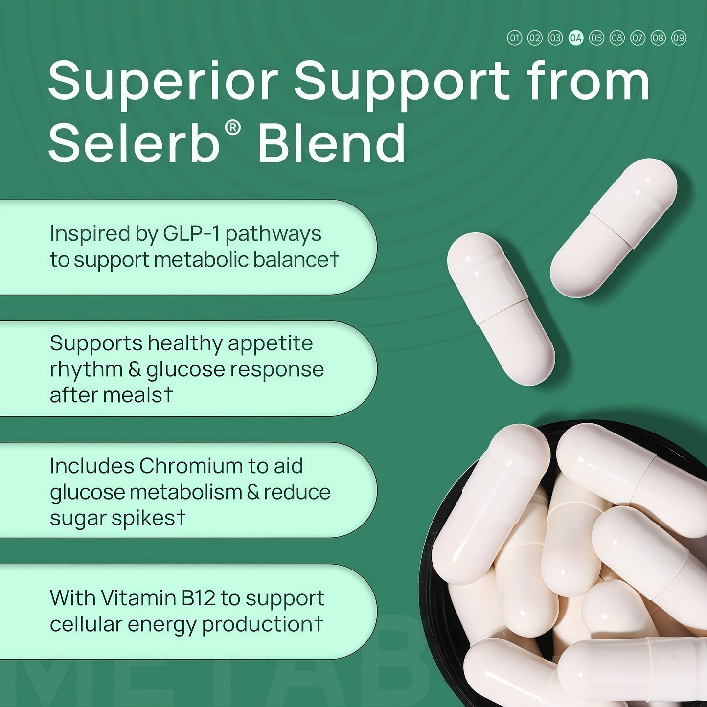 Selerb Berberine + Green Tea + B12 Complex - Gentle Plant-Based Formula with Chromium - 60 Capsules